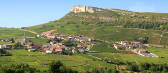 le terroir le terroir